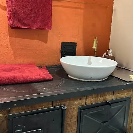 Garden Next To Telliskivi & Old Town Tallinn